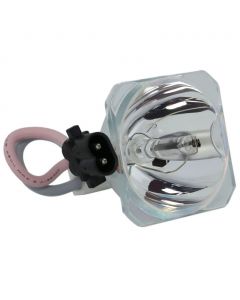 Originele Phoenix (SHP) Losse Lamp (#OB0009)