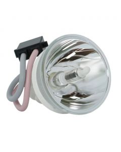 Originele Phoenix (SHP) Losse Lamp (#OB0066)