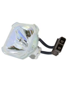 Originele Phoenix (SHP) Losse Lamp (#OB0080)