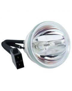 Originele Phoenix (SHP) Losse Lamp (#OB0094)
