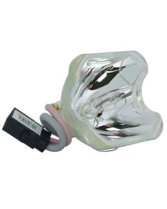 Originele Phoenix (SHP) Losse Lamp (#OB0257)