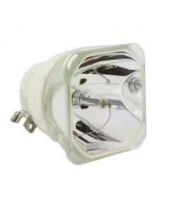 Original Ushio (NSHA) Bulb Only (#OB0287)