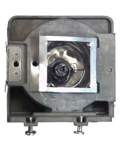 OM0706_1.jpg