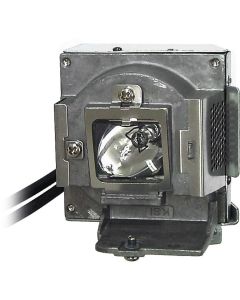 OM0746_1.jpg