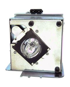OM1078_1.jpg
