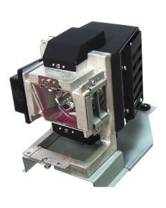 OM1133_1.jpg