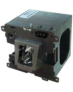OM1144_1.jpg