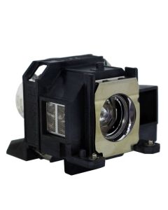 QL0375.jpg