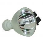 Original Phoenix (SHP) Bulb Only (#OB0010)