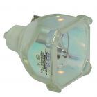 Original Philips (UHP) Bulb Only (#OB0097)