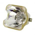 Original Ushio (NSHA) Bulb Only (#OB0108)