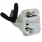 Original Phoenix (SHP) Bulb Only (#OB0175)