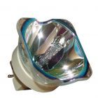 Originele Philips (UHP) Losse Lamp (#OB0196)