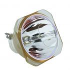 Original Ushio (NSHA) Bulb Only (#OB0234)