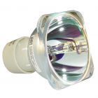 Original Philips (UHP) Bulb Only (#OB0381)