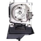 Originele Module NP20LP 60003130, BL-FU280C / SP.8JR03GC01, 331-1310 725-10263 KT74N (#OM0106)