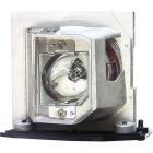 Original Module EC.K0700.001 (#OM0437)