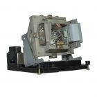 QualityLamp Module 5811116517-S / 5811116617-S (#QL0560)