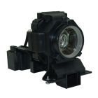 QL0880_1.jpg