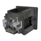 QualityLamp Module 003-004808-01, SP.75A01GC01, R9832774 (#QL0971)