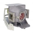 QualityLamp Module MC.JG211.00B, MC.JL311.001 (#QL1216)