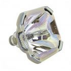 Originele Ushio (NSH) Losse Lamp (#OB0130)