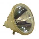 Original Philips (UHP) Bulb Only (#OB0148)