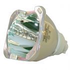 Original Philips (UHP) Bulb Only (#OB0228)