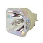 Original Philips (UHP) Bulb Only (#OB0435)