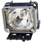 Original Module  (#OM0402)